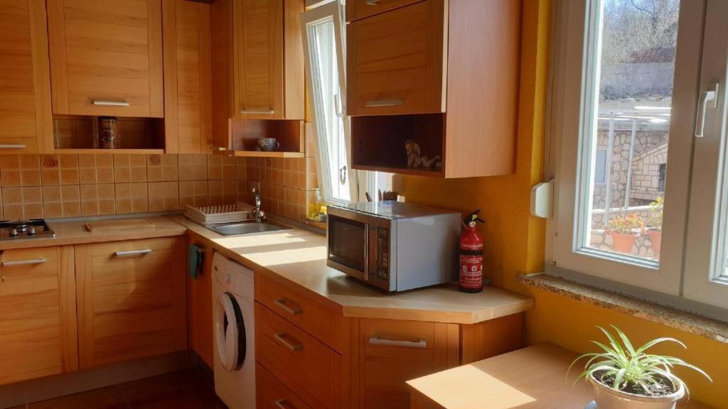 Apartments Roses Добринь Экстерьер фото